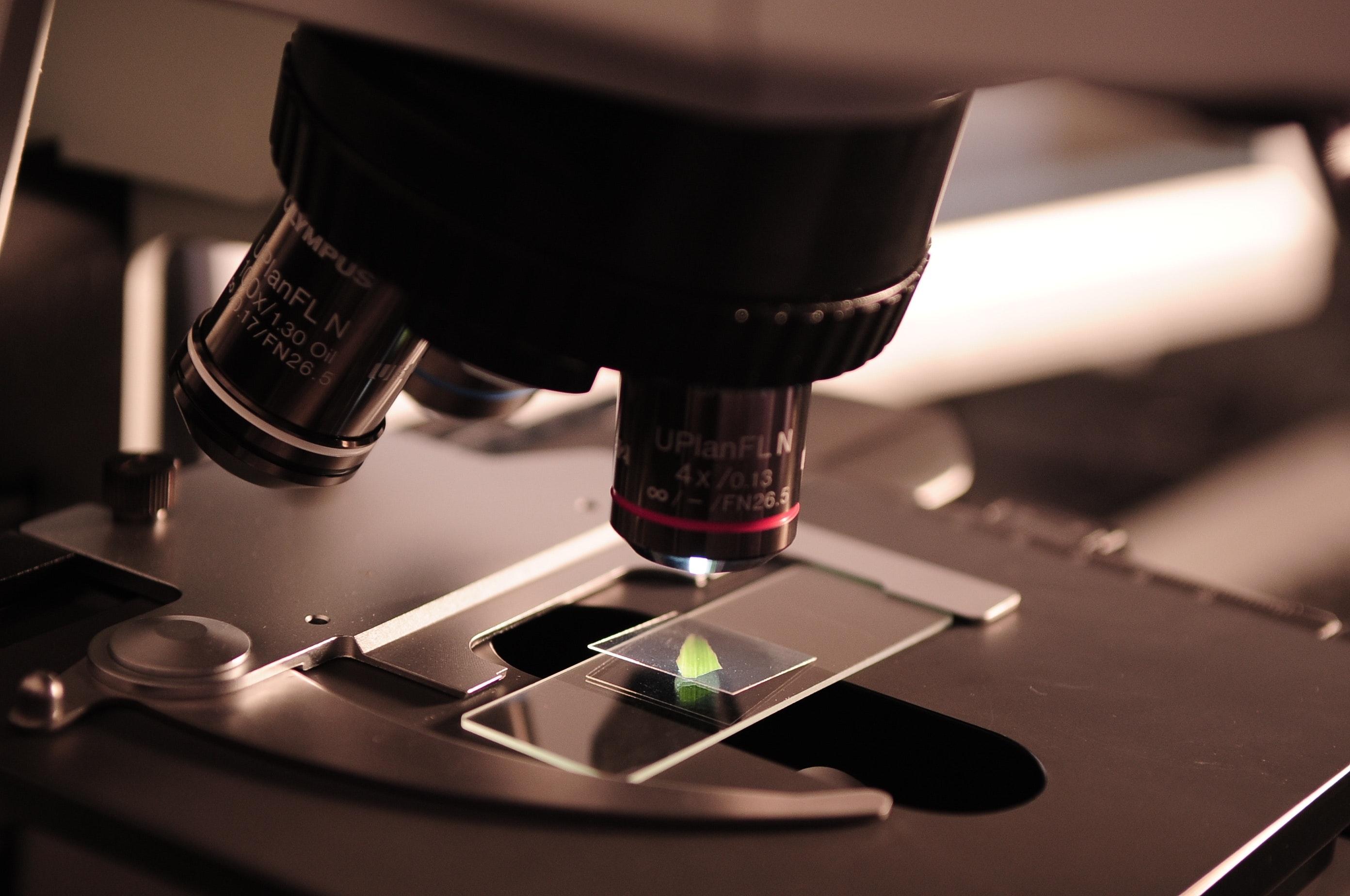 A microscope examining a specimen slide