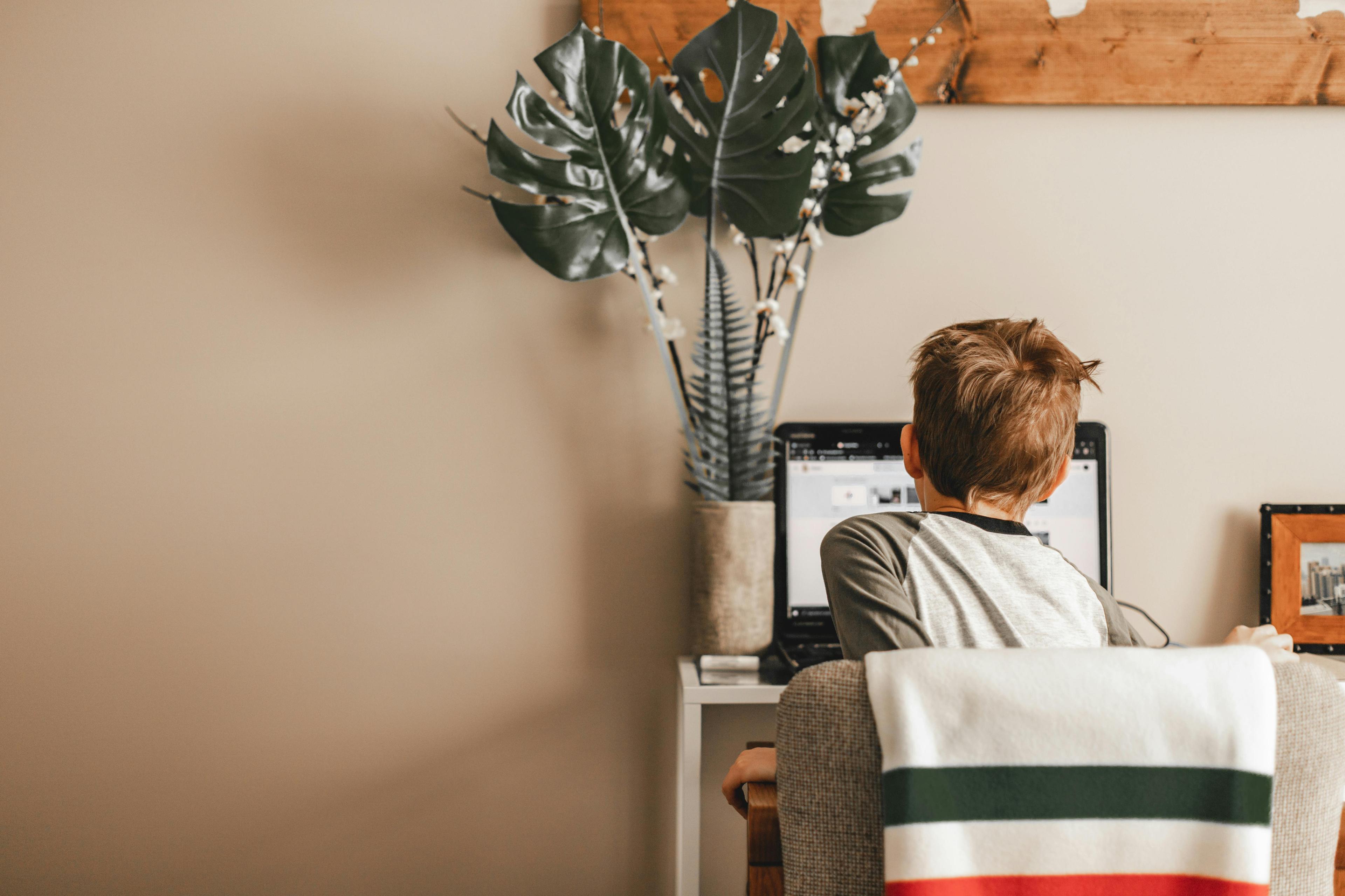 A child sits at a desk, using a laptop. A large plant and a picture frame decorate the space. The setting feels warm and focused.