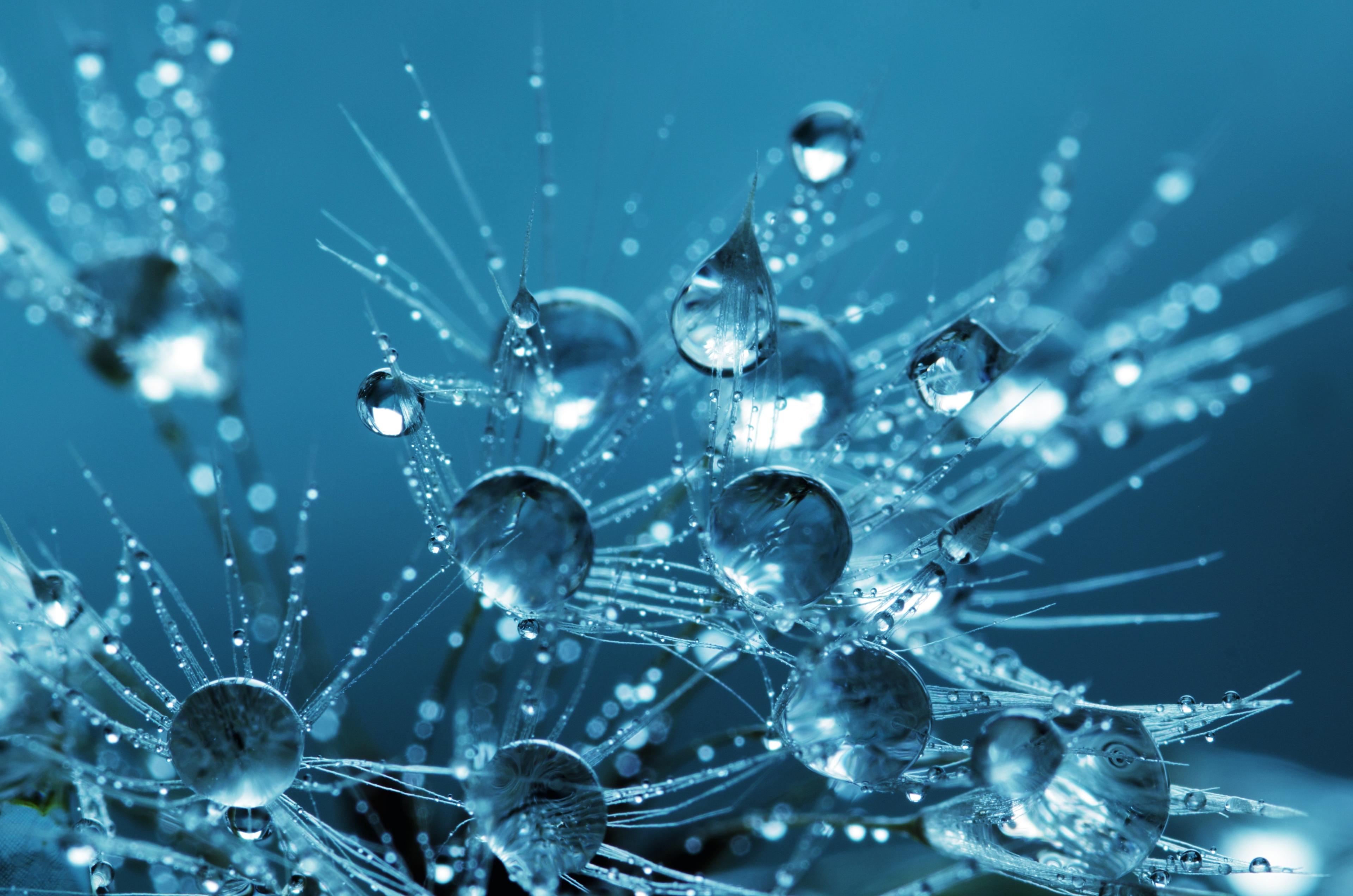 A close-up of water droplets catching the light
